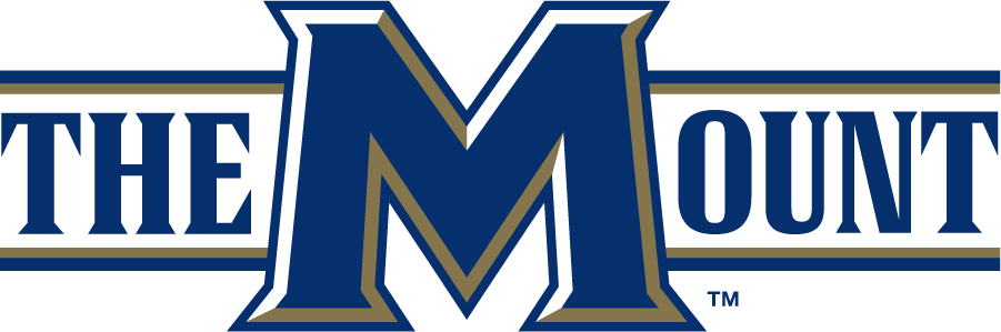 Mount St. Marys Mountaineers 2006-2016 Wordmark Logo v3 diy iron on heat transfer